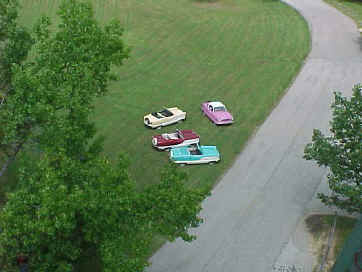 View from the top of the fire tower. 